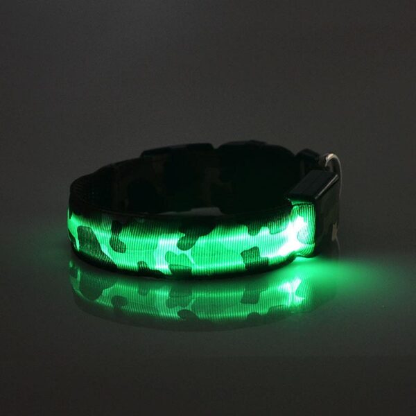 Camouflage Luminous Dog Collar on a German Shepherd at night