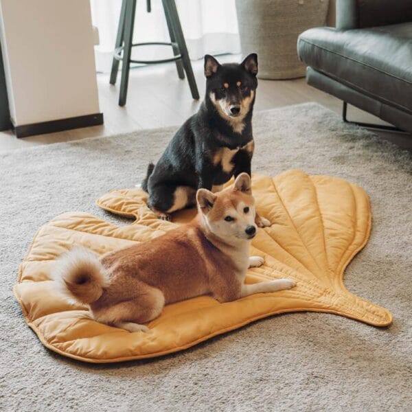 Dog Blanket