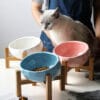 Gentle Angle Pet Dining Bowl - Angled Design for Cats and Dogs